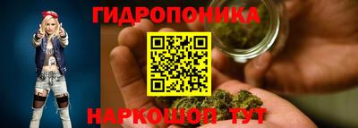 mdpv Новодвинск